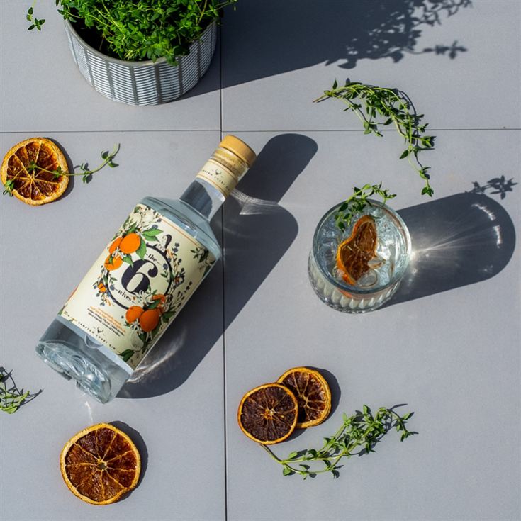 "The Six Wives" Hampton Court Spirits English Craft Gin product image