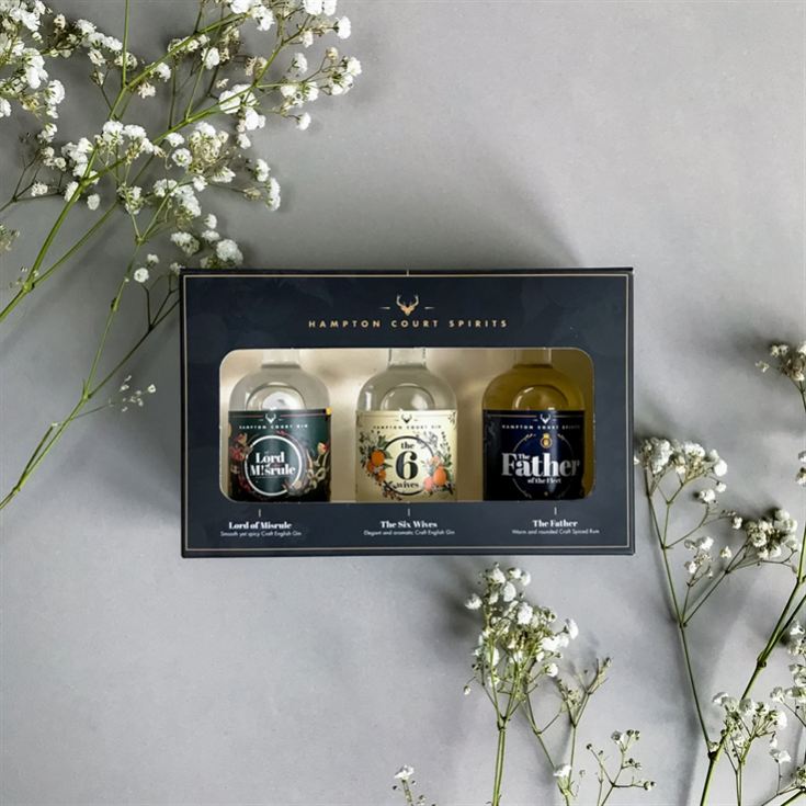 Hampton Court Spirits Mini Taster Craft Gin & Rum Gift Set product image