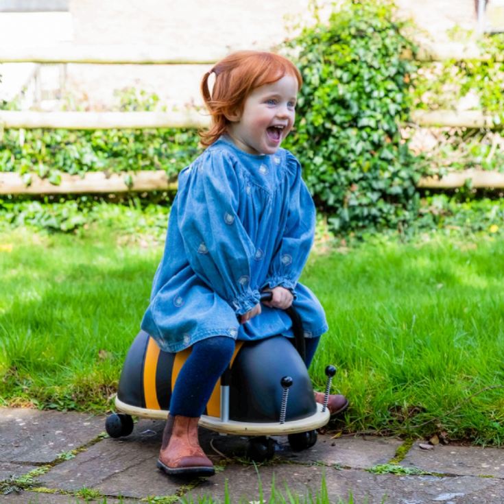 Wheely Bugs product image