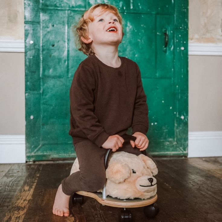 Plush Wheely Bugs product image