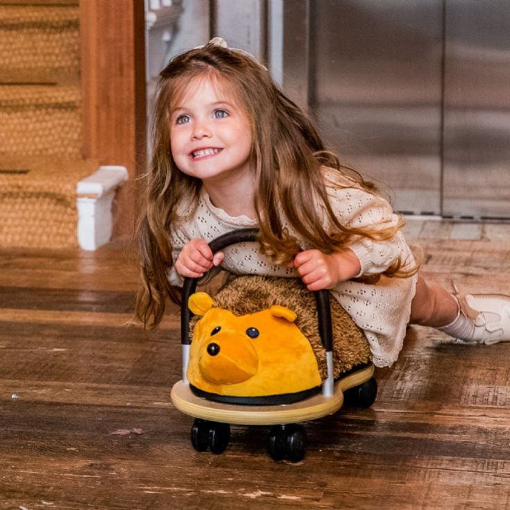 Plush Wheely Bugs product image