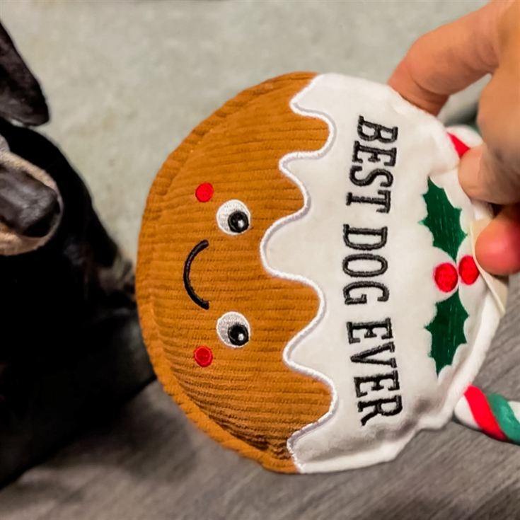 Christmas Pudding Slogan Dog Toys product image