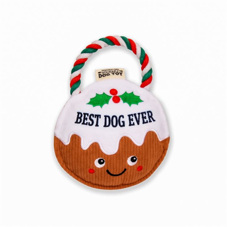Christmas Pudding Slogan Dog Toys product image