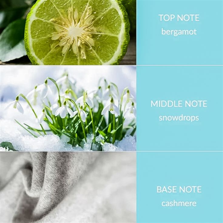 Christmas Fragrance Diffusers product image