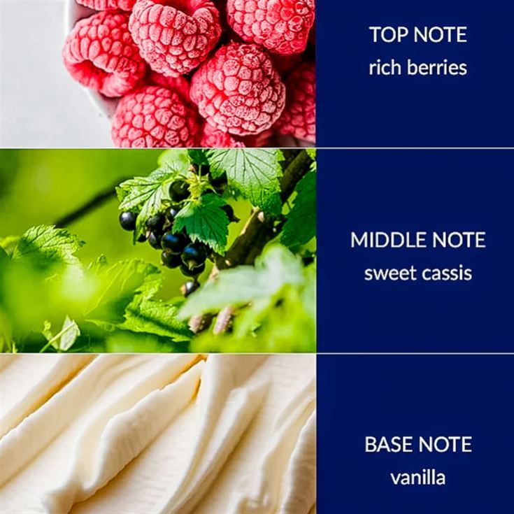 Christmas Fragrance Diffusers product image