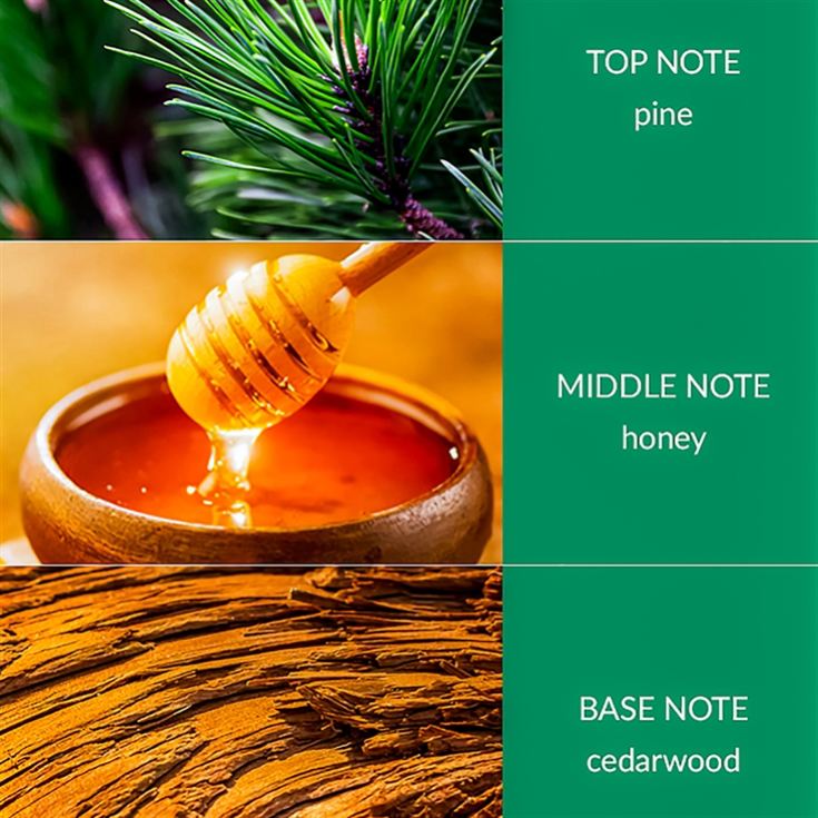 Christmas Essential Oil Blends product image