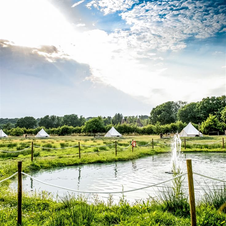 Luxury Under the Stars with Breakfast, Wine Tasting and Tour product image