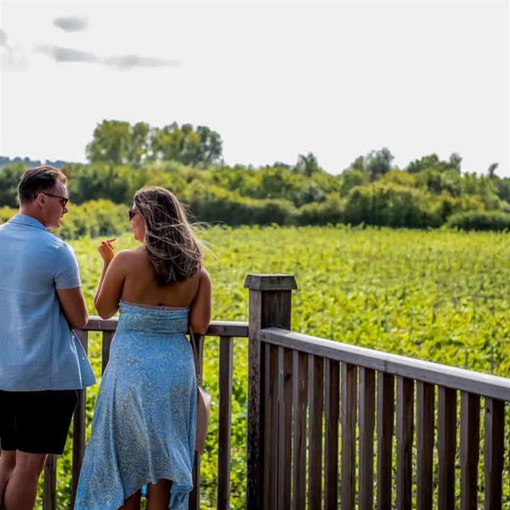 Luxury Under the Stars with Breakfast, Wine Tasting and Tour product image