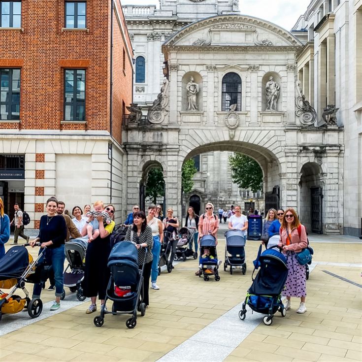 Bring Your Baby to Walk product image