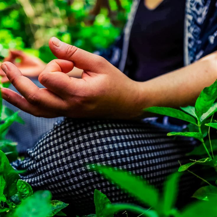 Yoga and Forest Bathing Day Retreat near Brighton product image