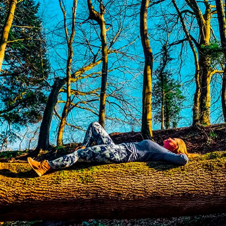 Yoga and Forest Bathing Day Retreat near Brighton product image