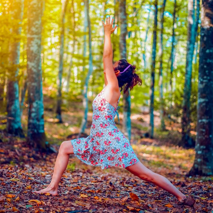 Yoga and Forest Bathing Day Retreat near Brighton product image