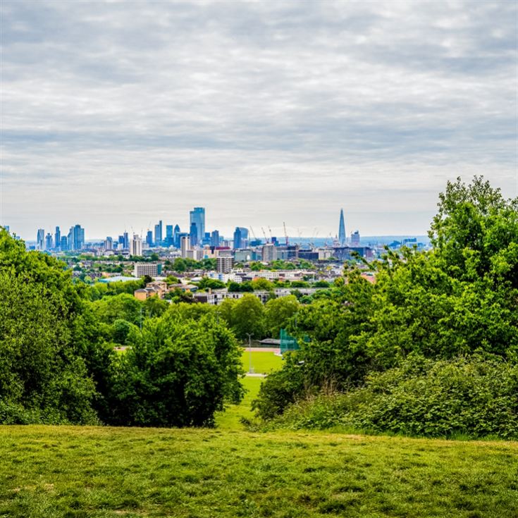 Forage in London - The Edible City product image