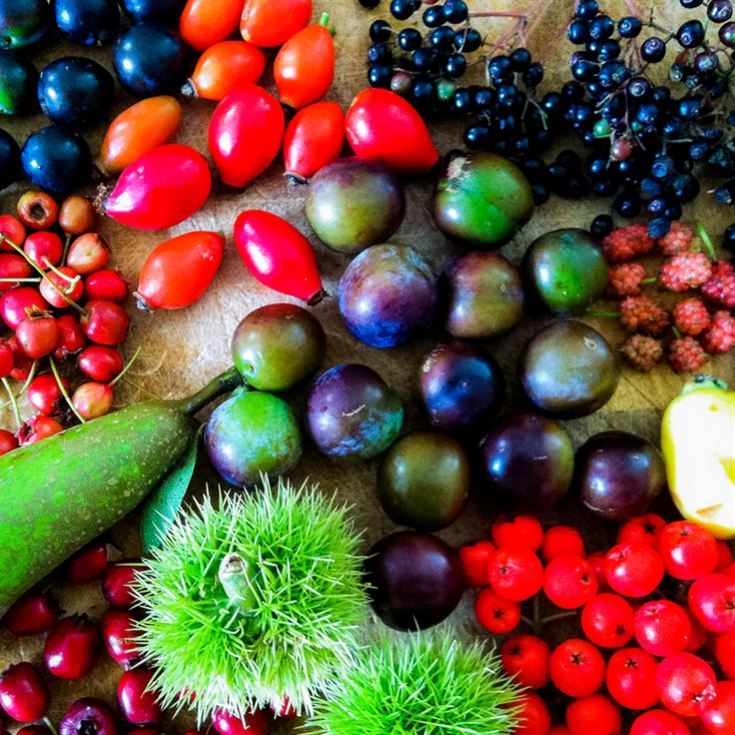 Forage in London - The Edible City product image