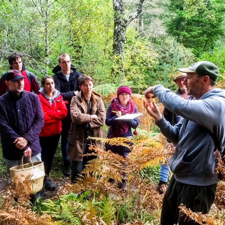 Forage in London - The Edible City product image