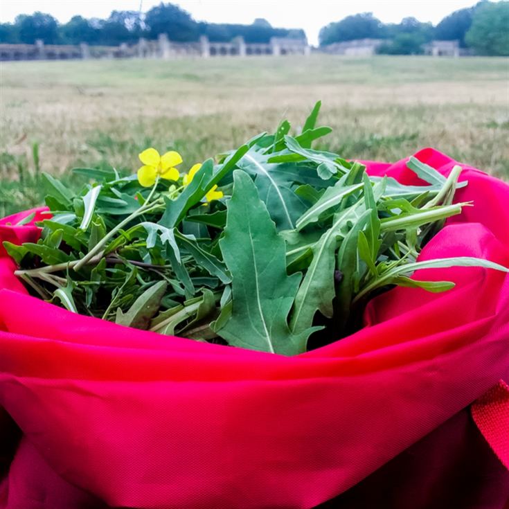 Forage in London - The Edible City product image