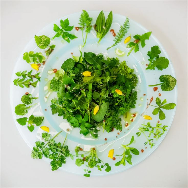 Forage in London - The Edible City product image