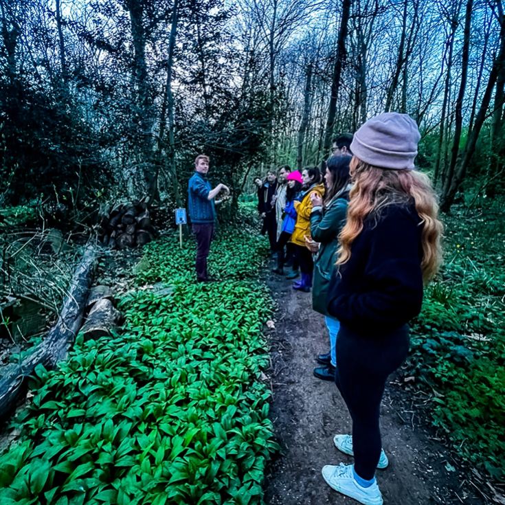 Cocktails, Folktales and Foraging product image