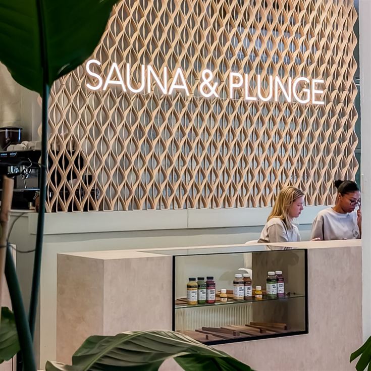 Sauna and Plunge product image