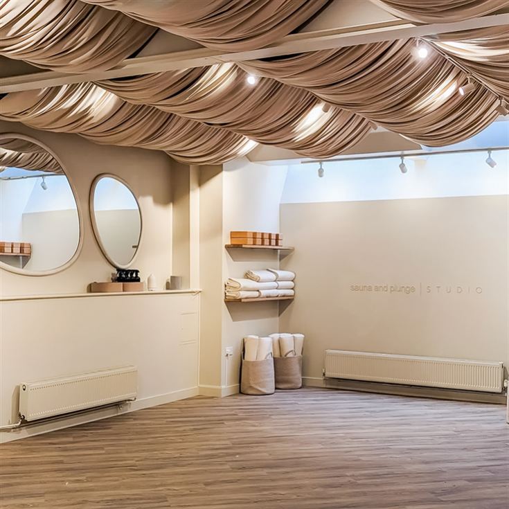 Sauna and Plunge product image