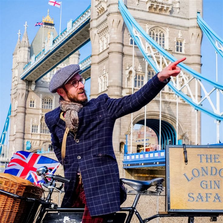 Gin Safari by Bicycle product image