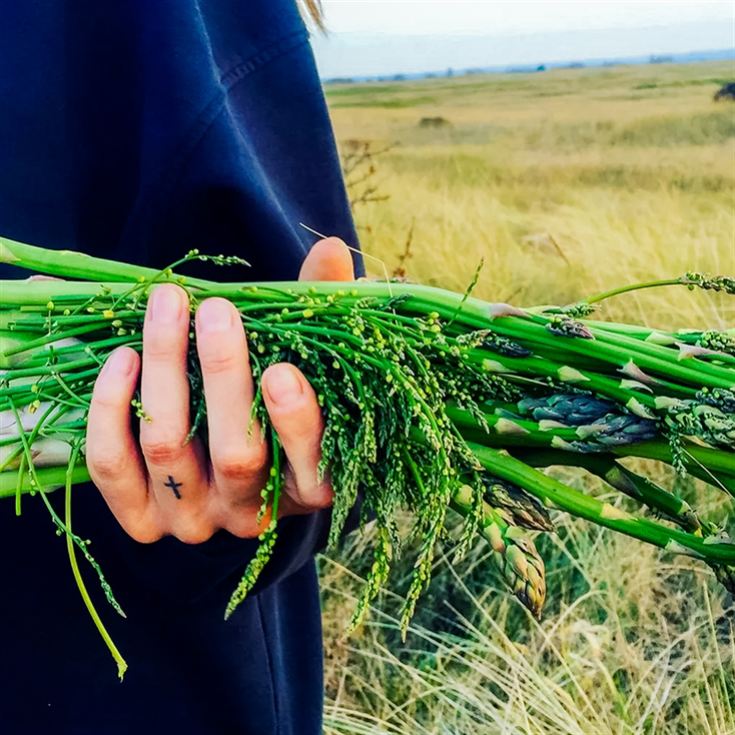 Coastal Foraging & Feasting product image