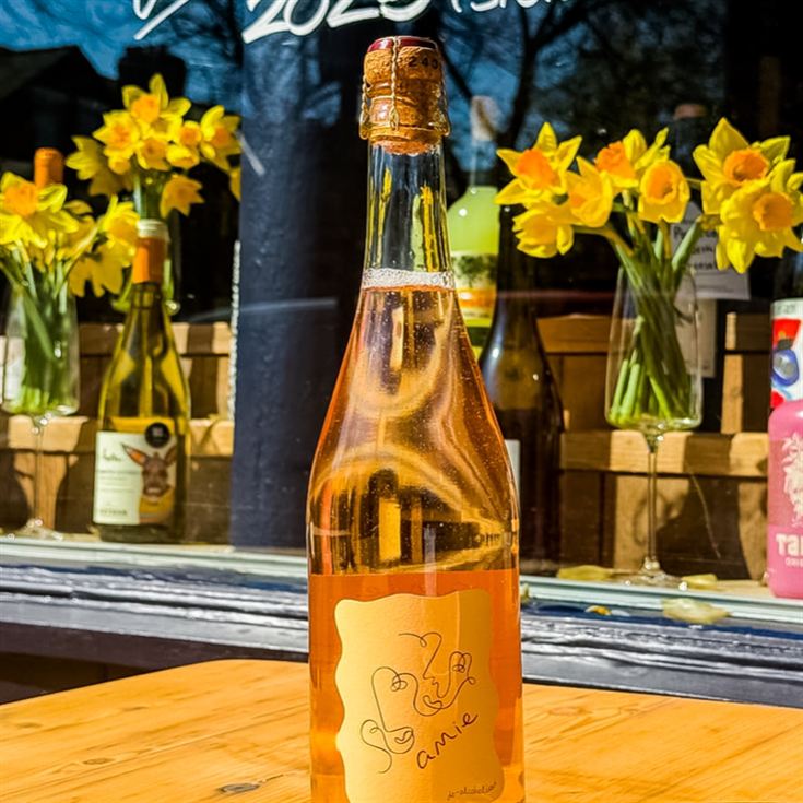 Cork and Cheese Wine and Cheese Tasting in Manchester product image