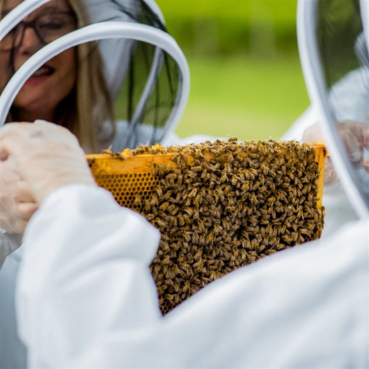 Beekeeping and Beers for Two product image