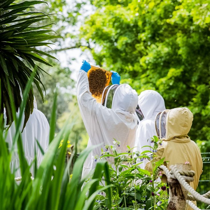 Beekeeping and Beers for Two product image