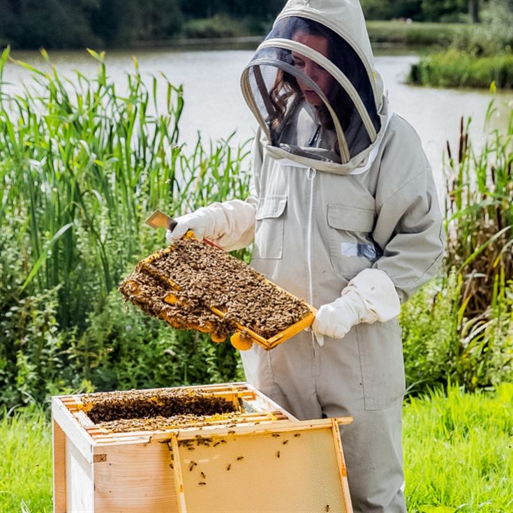Hiver's Rural Beekeeping and Beer Tasting for Two product image