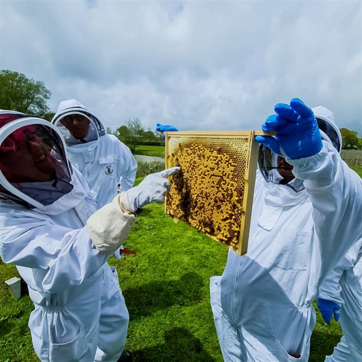 Hiver's Rural Beekeeping and Beer Tasting for Two product image