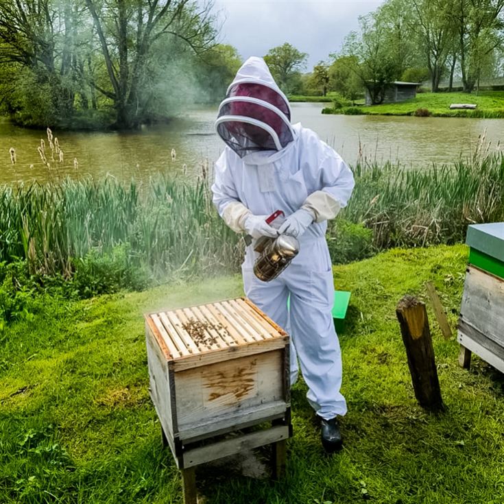 Hiver's Rural Beekeeping and Beer Tasting for Two product image