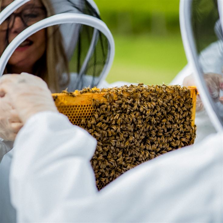 Hiver's Rural Beekeeping and Beer Tasting for Two product image
