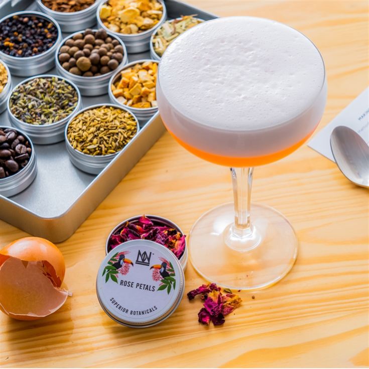 Set of 12 Spices & Botanical Infusions product image