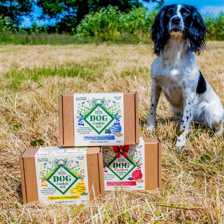 Dog Cookie Making Kits product image