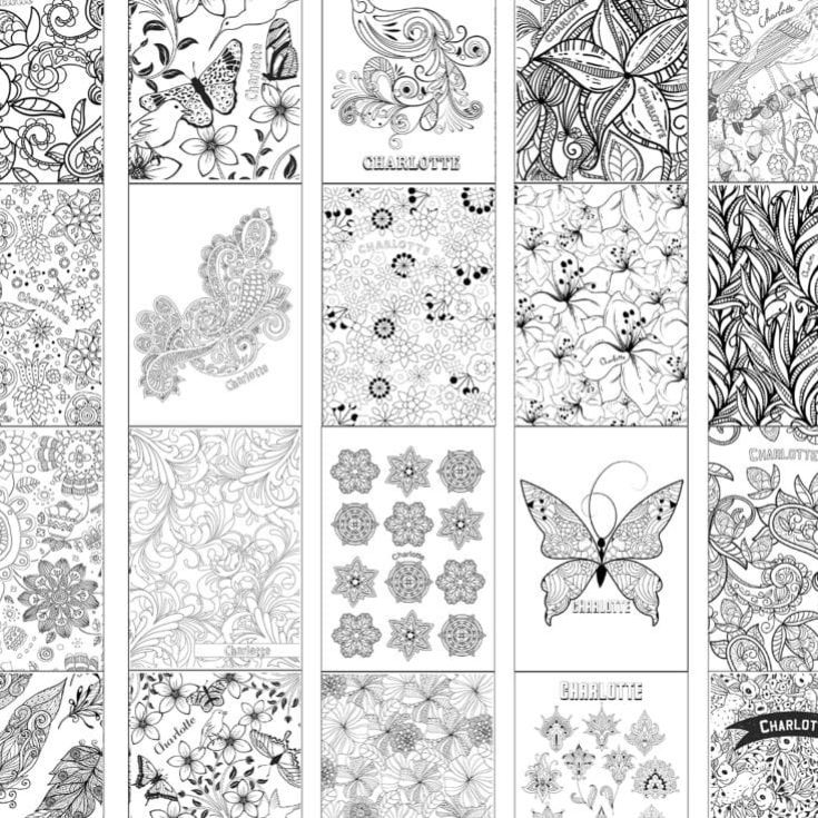 Personalised Colouring Book For Adults product image