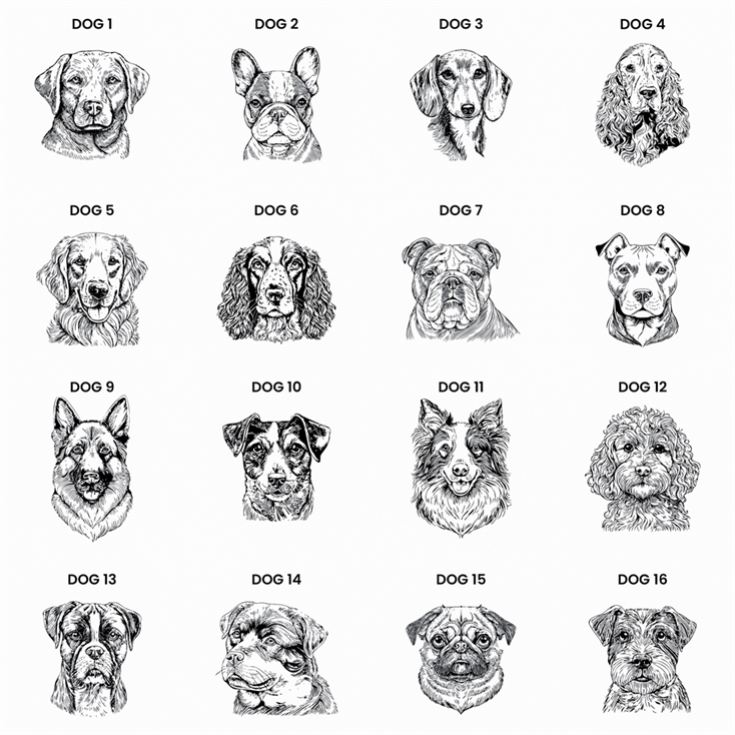 Personalised Dog Breed Mug product image