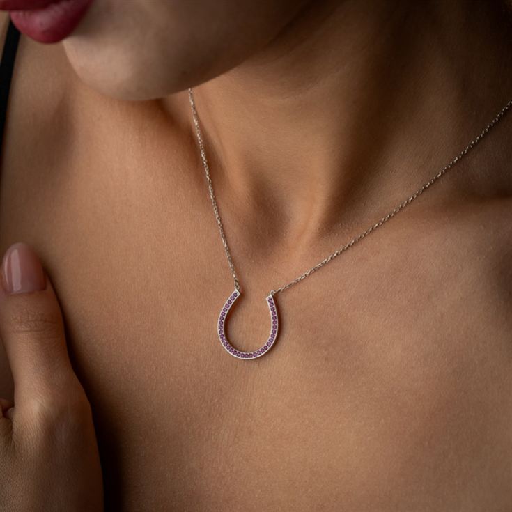 Horseshoe Necklace with Birthstone product image