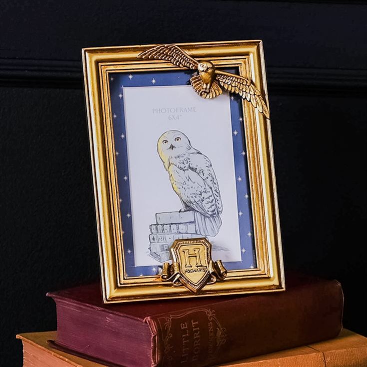 Warner Bros Harry Potter Alumni Gold Hedwig Photo Frame product image