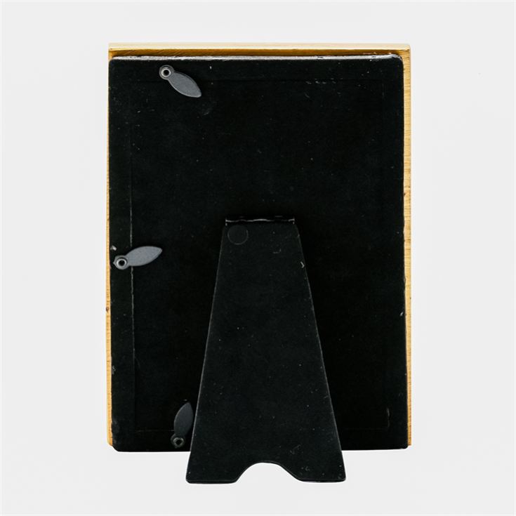 Warner Bros Harry Potter Alumni Gold Hedwig Photo Frame product image