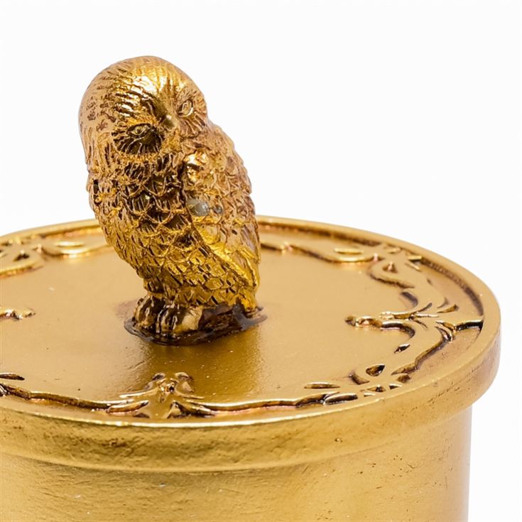 Warner Bros Harry Potter Alumni Hedwig Trinket Box product image