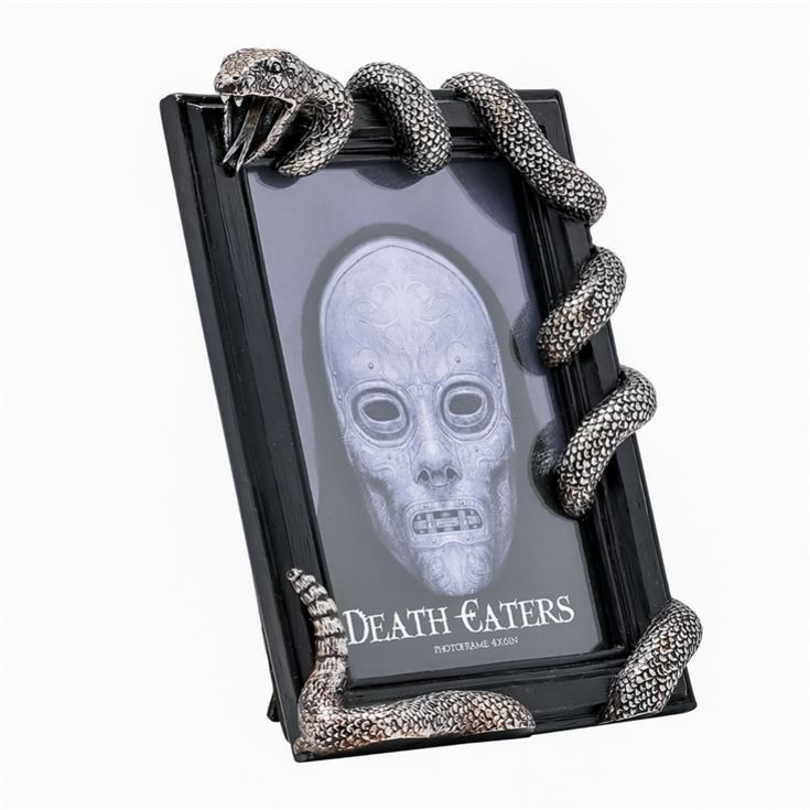 Warner Bros Harry Potter Dark Arts Nagini Frame product image