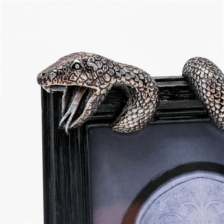 Warner Bros Harry Potter Dark Arts Nagini Frame product image