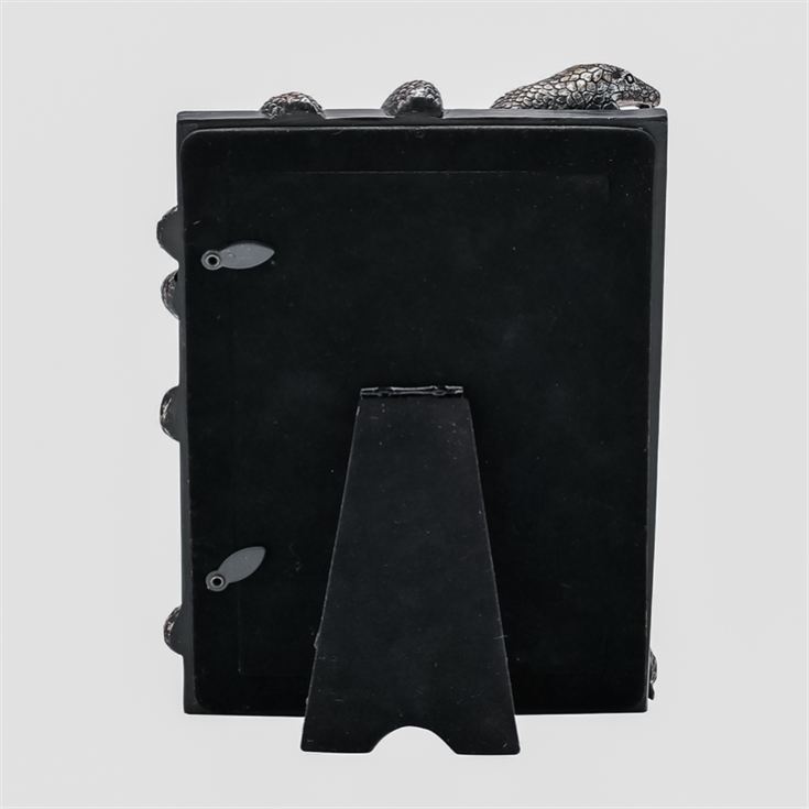 Warner Bros Harry Potter Dark Arts Nagini Frame product image