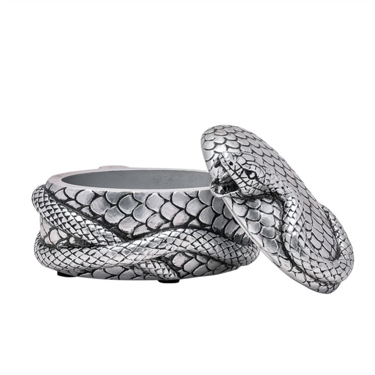 Warner Bros Harry Potter Dark Arts Nagini Trinket Box product image