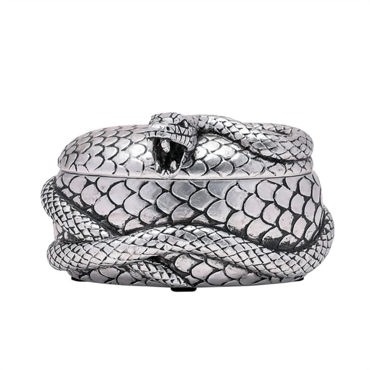 Warner Bros Harry Potter Dark Arts Nagini Trinket Box product image