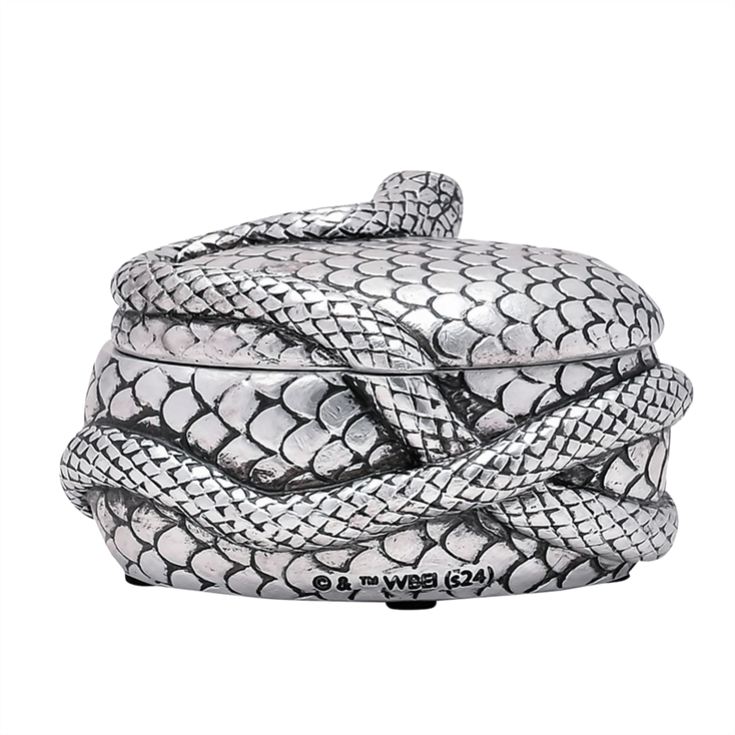 Warner Bros Harry Potter Dark Arts Nagini Trinket Box product image