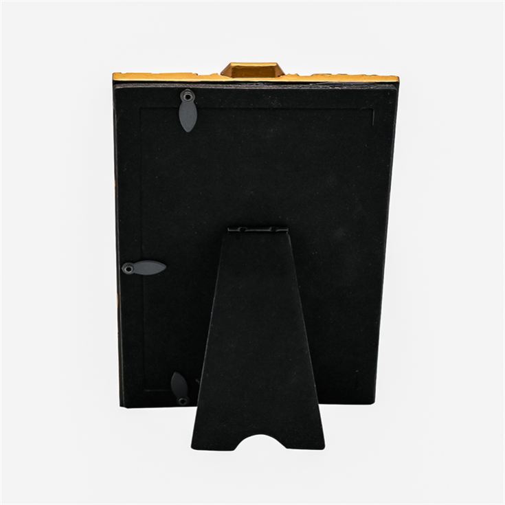 Warner Bros Harry Potter Herbology Frame product image