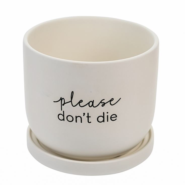 "Please Don't Die" Ceramic Plant Pot product image