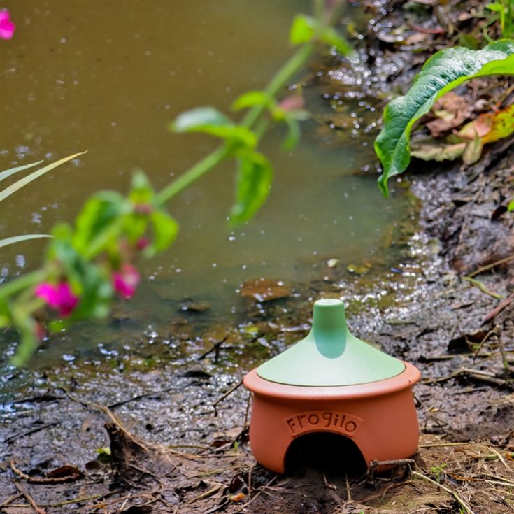 Frogilo - Eco-Friendly Frog Shelter product image